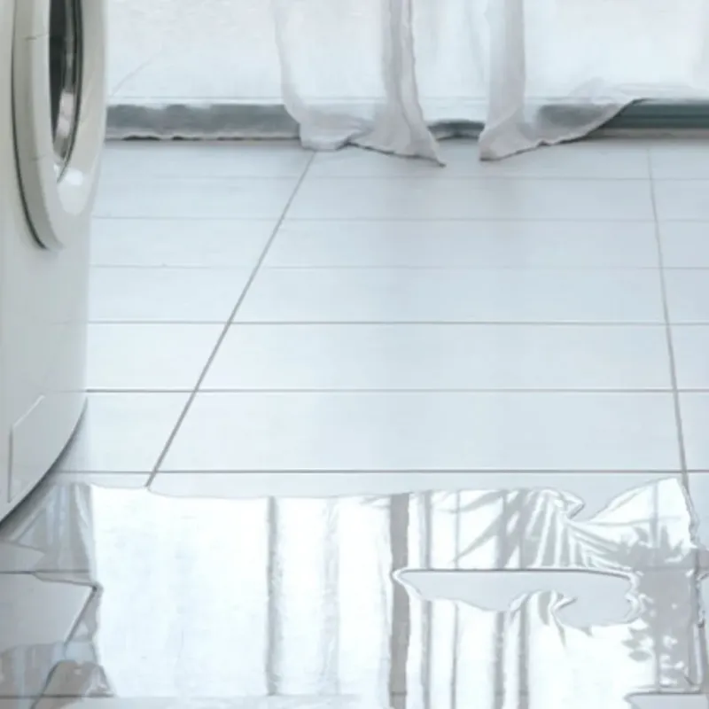 Appliance Leak Cleanup in Thornton, NH