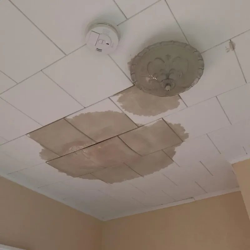 Ceiling Water Damage Repair in Thornton, NH