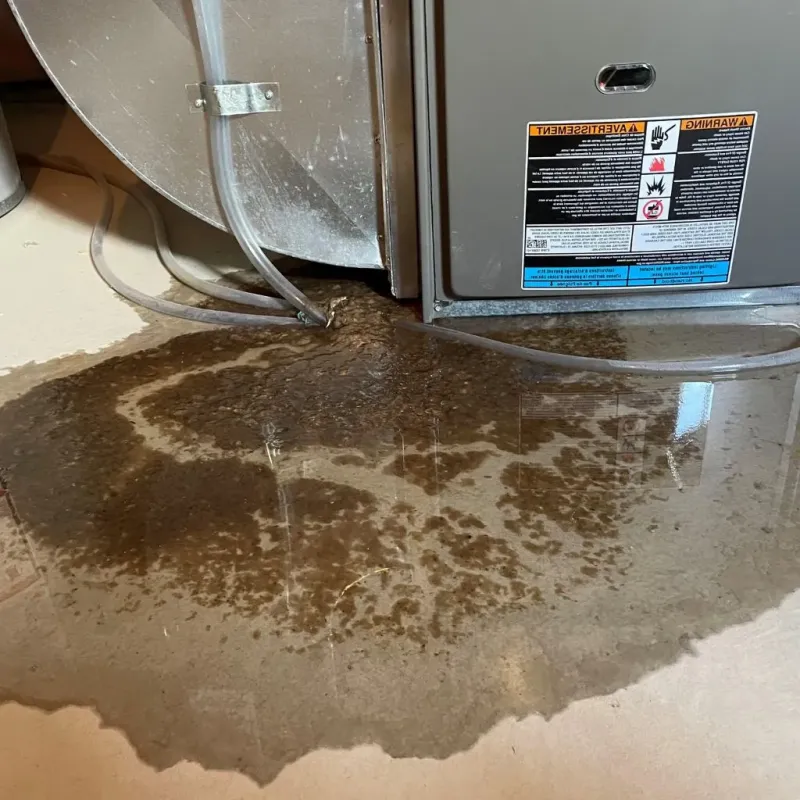 Pipe Burst and Leak Restoration in Thornton, NH